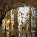 Grotte di Pertosa. La natura nascosta – VIDEO
